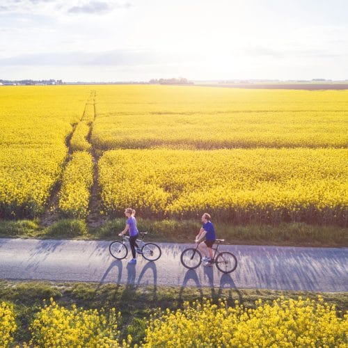 cycling, group of young people with bicycles, aerial view in yellow fields